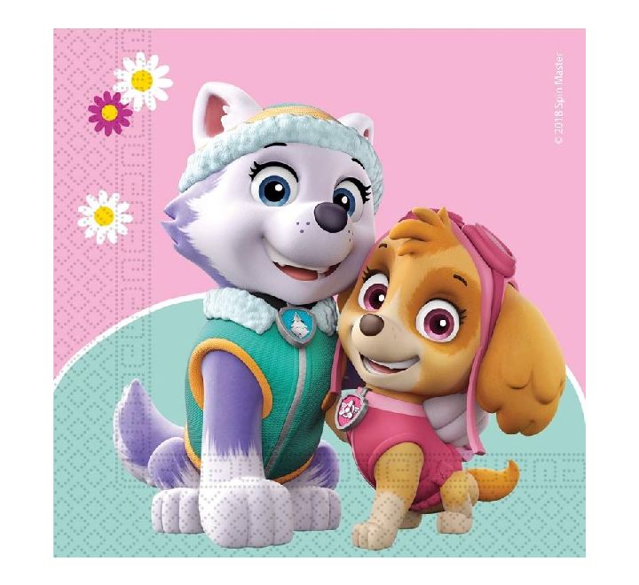 All New Paw Patrol Party Range !!!