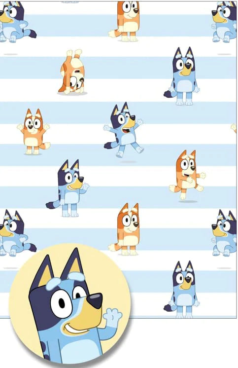 Bluey Party Range - Selling Fast