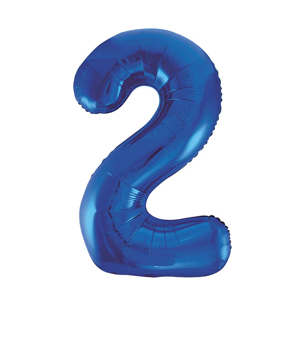21st Birthday Party Range