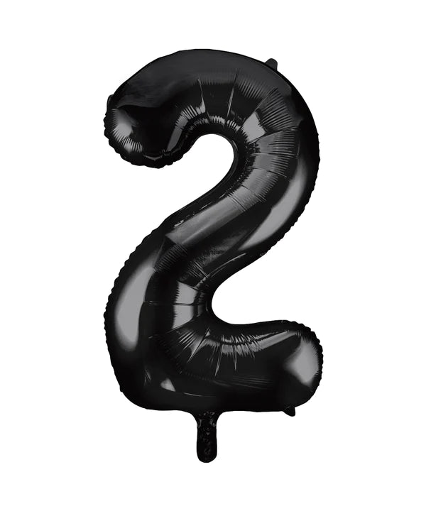 21st Birthday Party Range