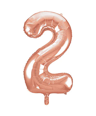 21st Birthday Party Range