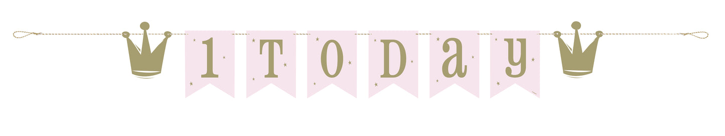 1st Birthday Party Range