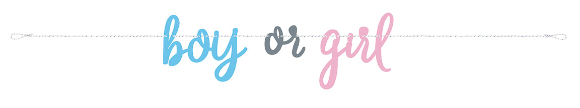 Baby Shower / Gender Reveal Party Range