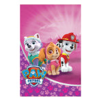 All New Paw Patrol Party Range !!!